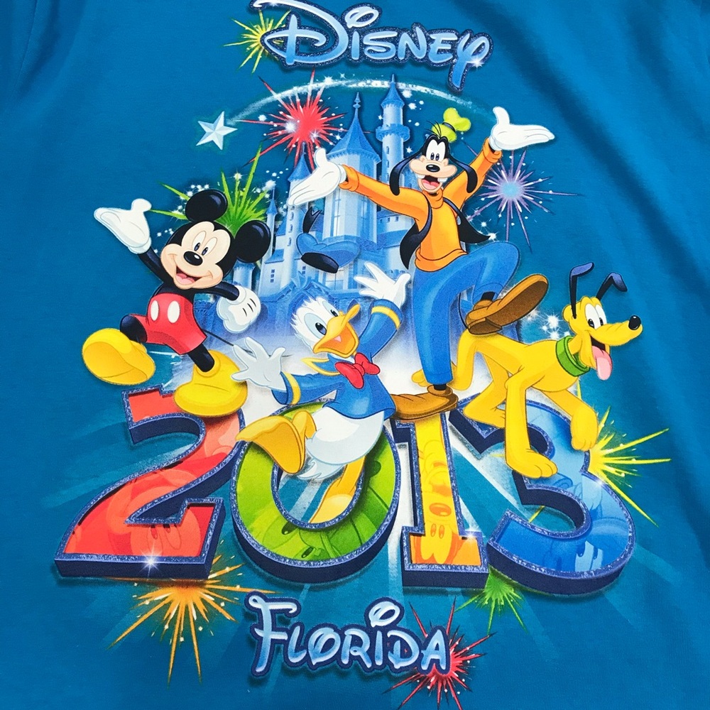 Disney Florida 2013 Blue T-shirt Sz Large NWT
